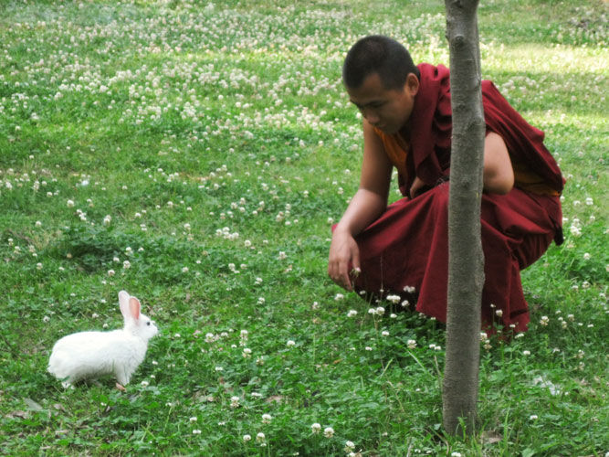 buddhist monk