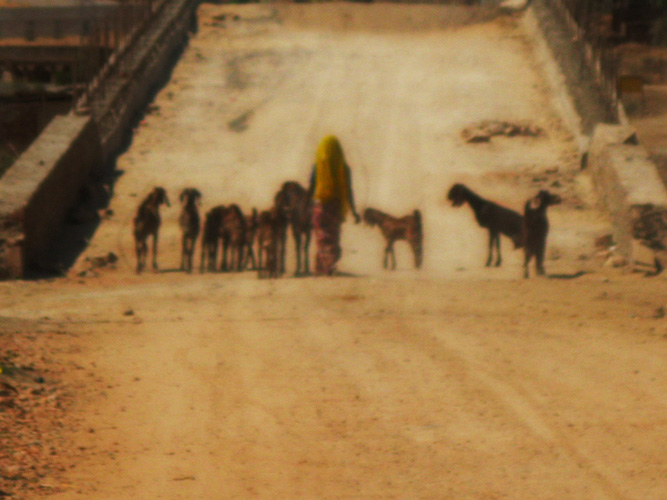 pushkar bridge