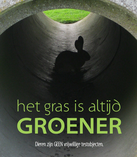groener