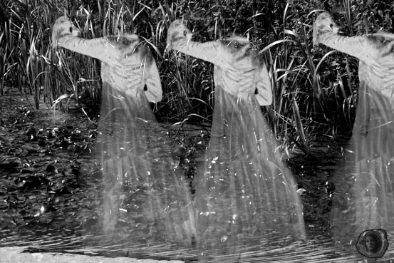 natura2