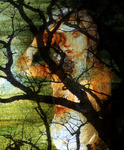 Mixed Media selection