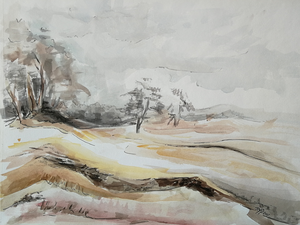 Diverse landschappen