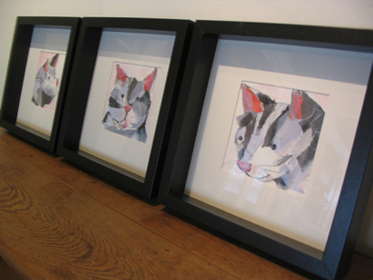Katten serie