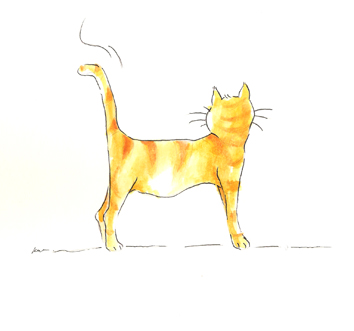 Katten illustratie 5