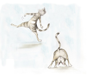 Hallo Vlo illustratie 10