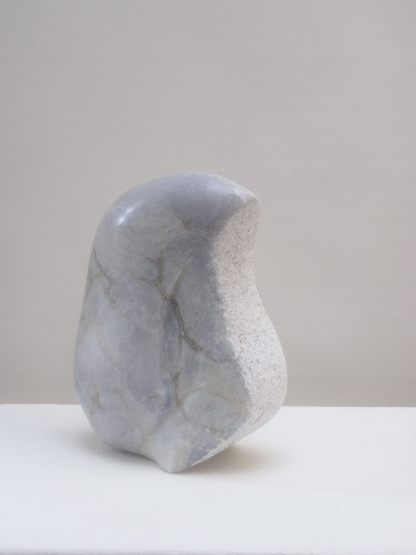 Jong Leven / Young Life