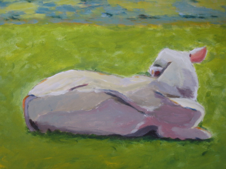 Koe liggend in de wei