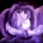 Paars is dé kleur ... Een montage van de paars-rood-wit gekleurde schilderijen van kunstschilder Van Daele Christoph. Meer info op : http://vandaelechristoph.weebly.com ...