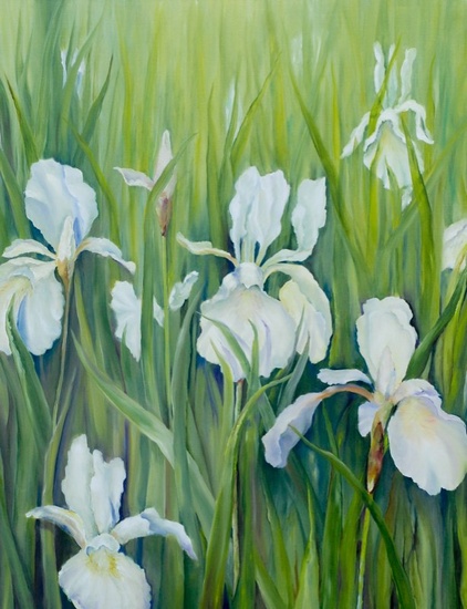 Witte irissen