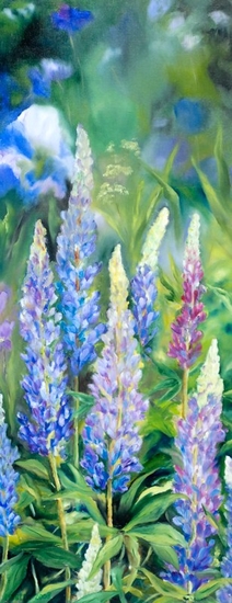 Blauwe lupines