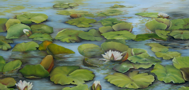 Waterlelies
