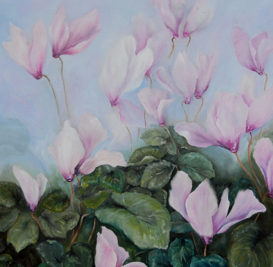 Cyclamen