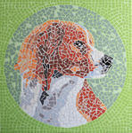 In 2011 zal ik een tentoonstellijg wijden aan mijn kooikerhondje Timo. In deze rubriek alvast een voorproefje