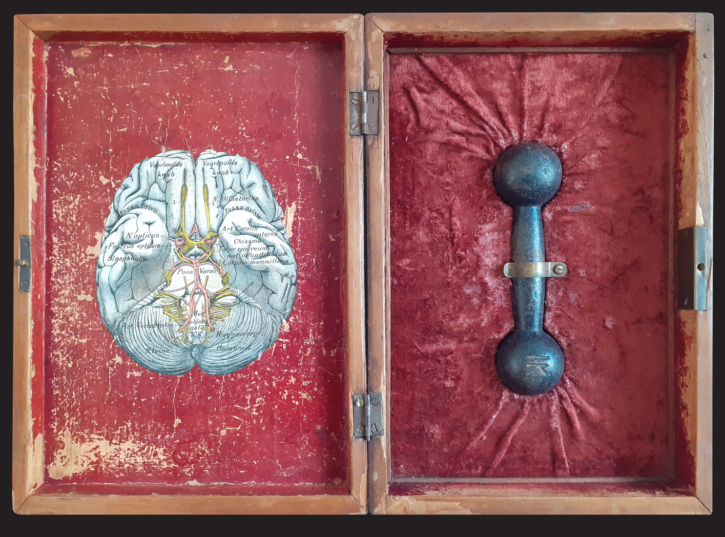 Braintraining