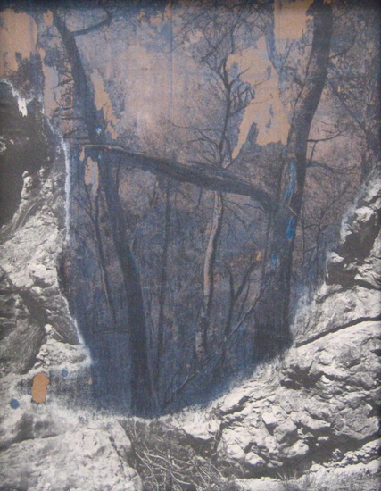 (Ver)Woest Landschap