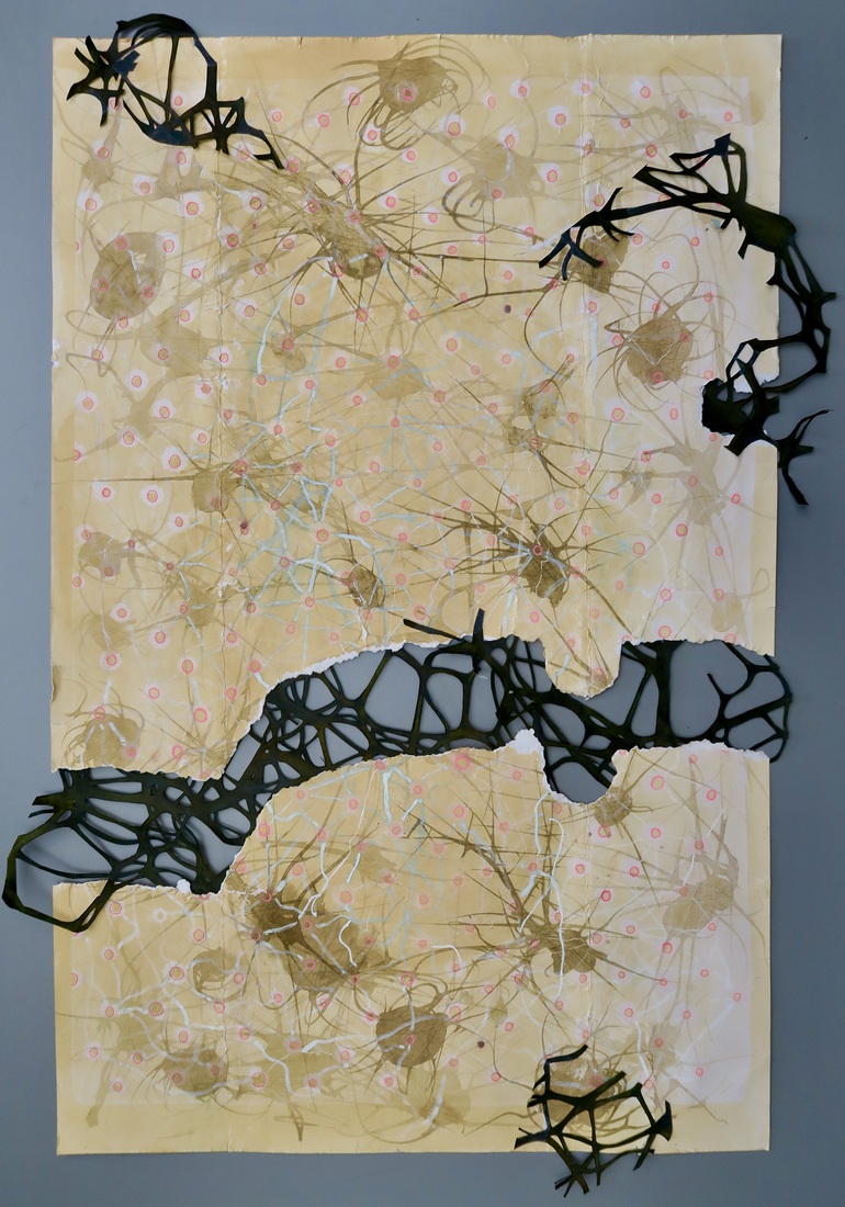 Terra Incognita