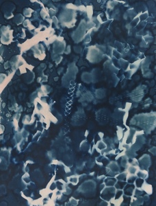 Experimenteren met water en cyanotypie emulsie. Plastic soep