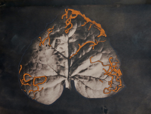 mooie patronen in bladeren gemaakt door insectenlarven