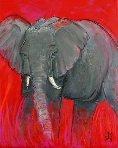 Olifant in rood II