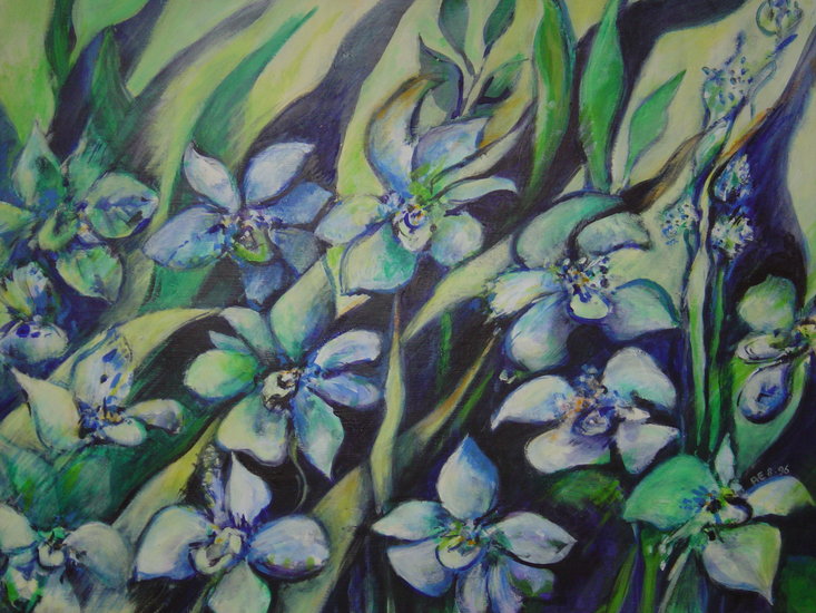 blauwe orchideetjes