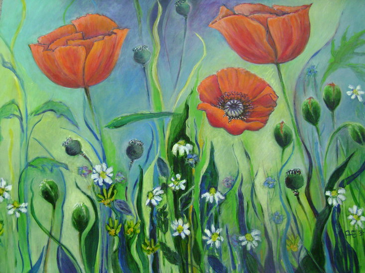 Klaproosjes, kamille en zaaddoosjes.