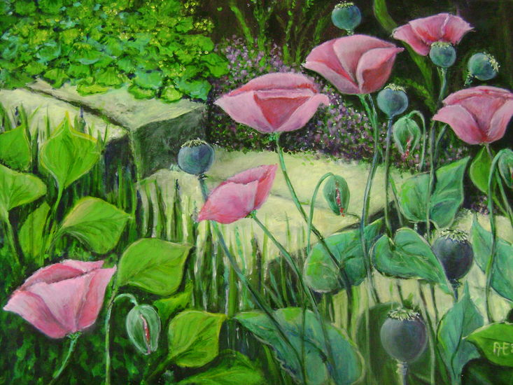 Rose papavers met tuintrapje.