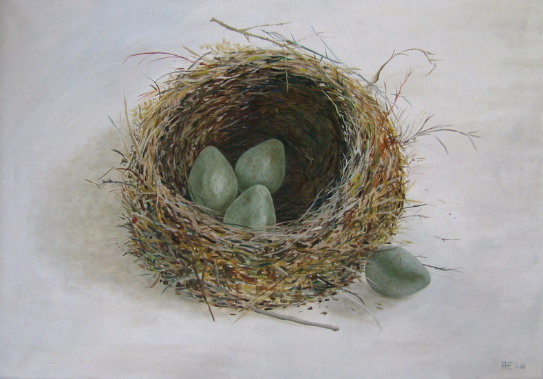 Merelnest met vier eitjes.