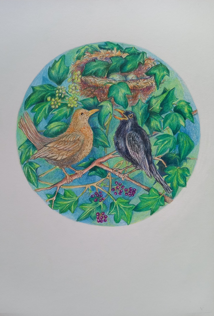 Lentekriebels Mandala