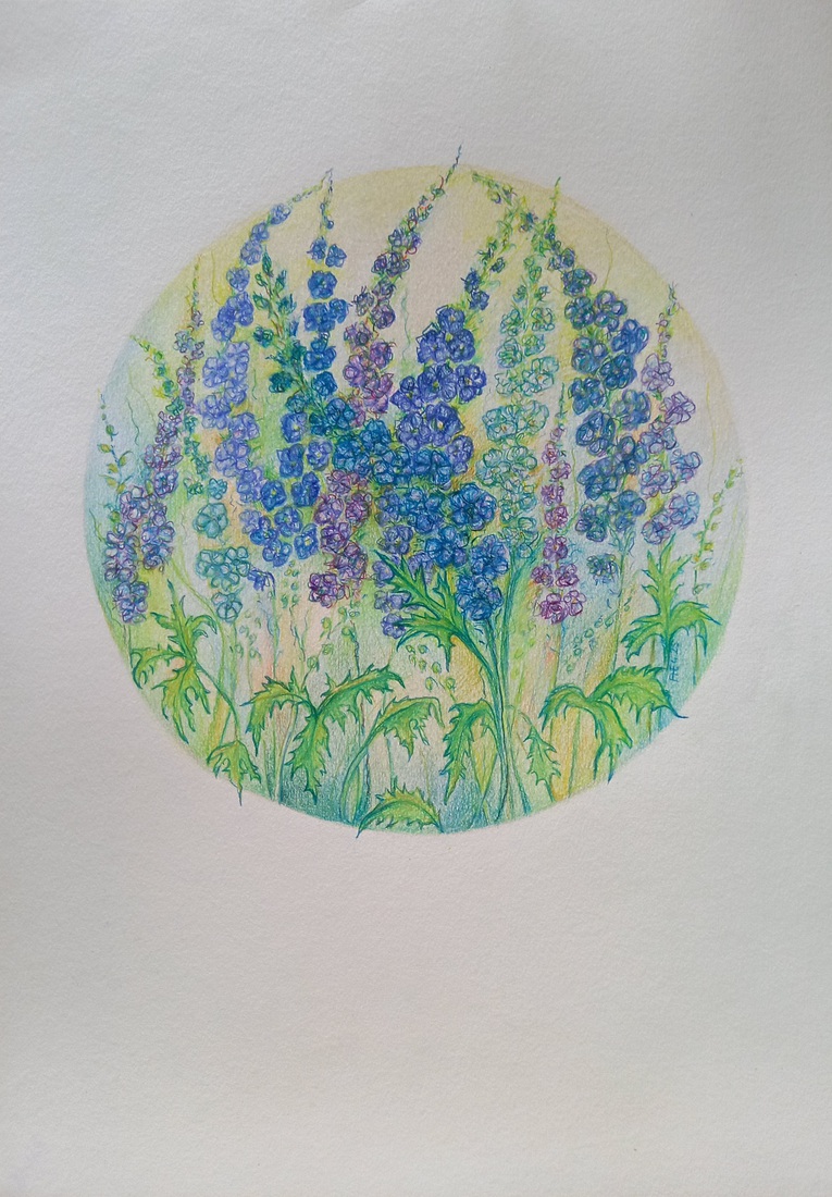 Ridderspoor in Mandala