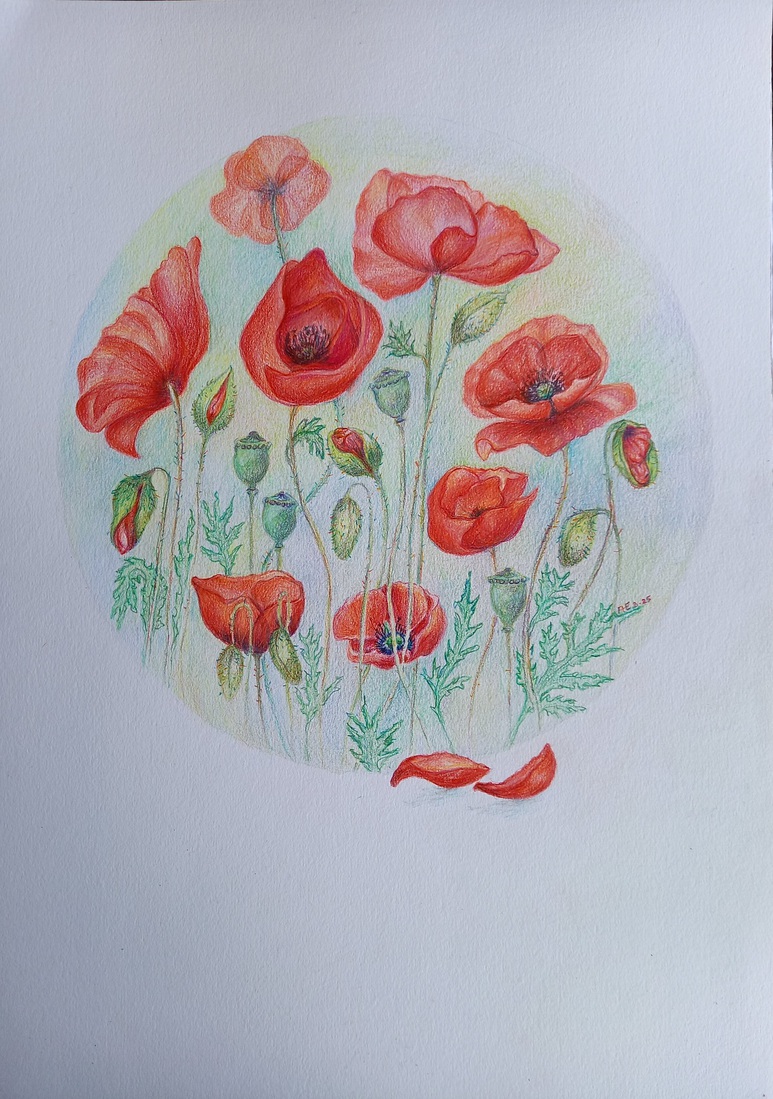 Klaprozen in Mandala