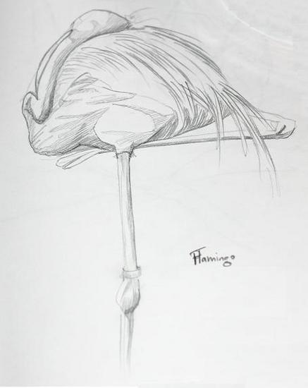 Flamingo in rust