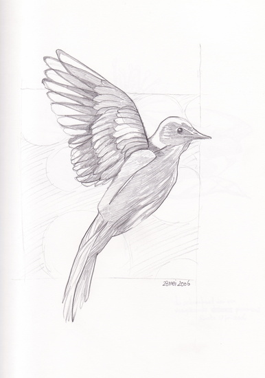 Vliegende vogel
