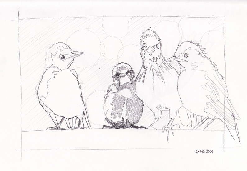 Hangvogels