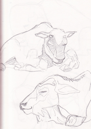 Bison babies