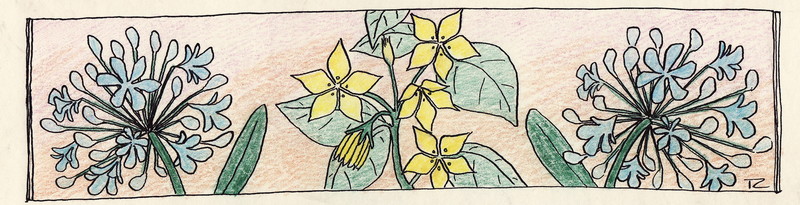 Bloemen
