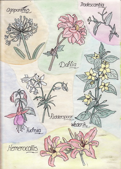 Serie bloemen