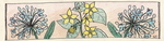 Schetsen van bloemen, planten en landschappen.