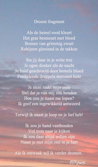 Droom fragment