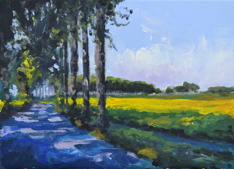 Zon en schaduw op polderdijk