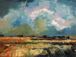 Lucht, water en land kenmerken het zo boeiende Zeeuwse landschap. Iedere maand verschijnen er nieuwe kunstwerken met dit thema. Heel Zeeland wordt 'onder het penseel' genomen door Wim van de Wege.