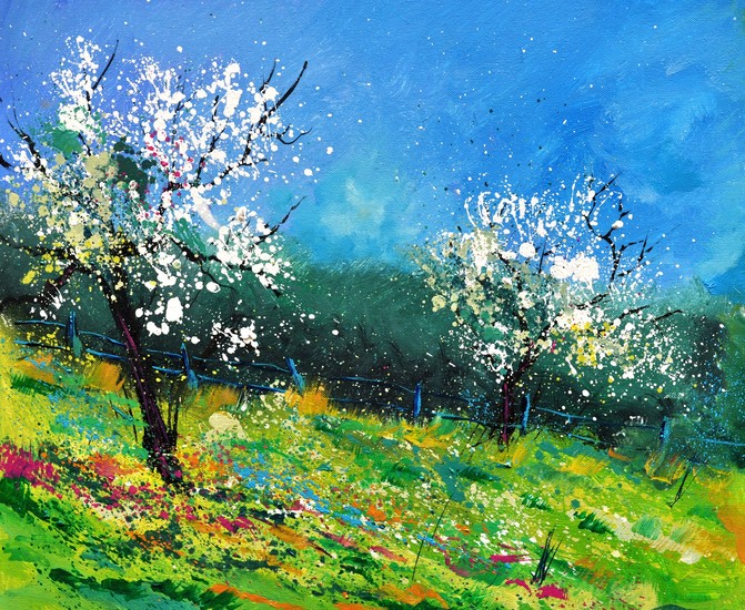 Orchard in spring 564150
