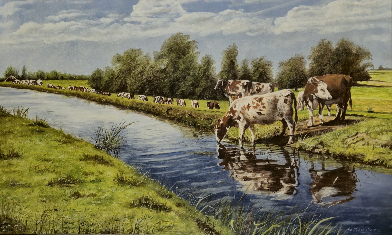 Koeien aan slootkant