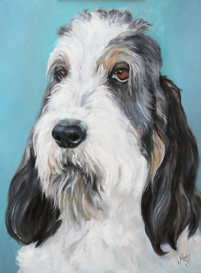 Grand basset griffon vendéen Tum Tum