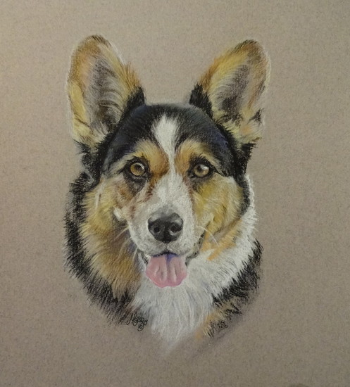 Shady Welsh Corgi Cardigan