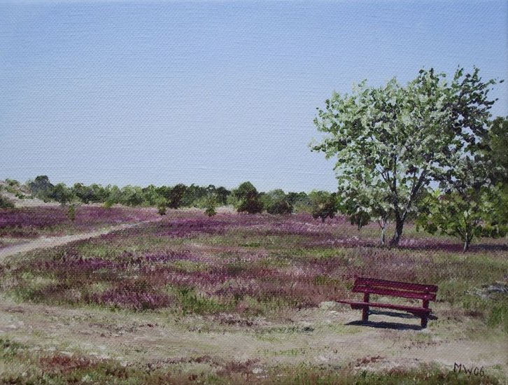 Amsterdamse waterleidingduinen