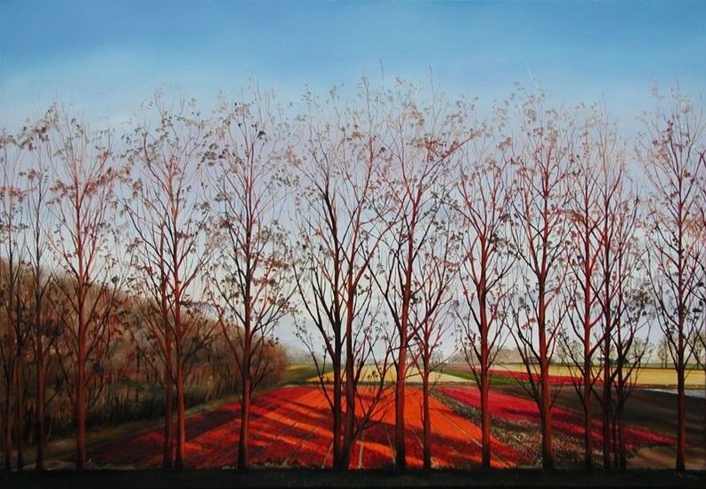 Bollenvelden bij avond