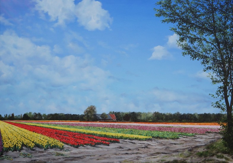Bollenveld Lisse