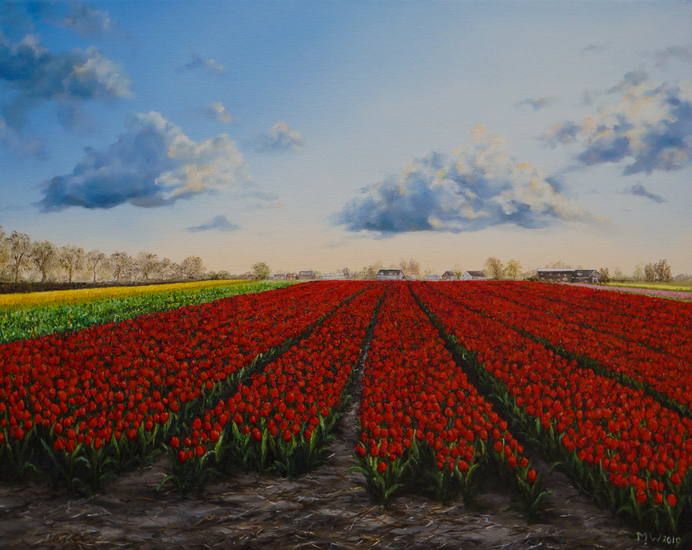 Tulpenvelden bij avondlicht