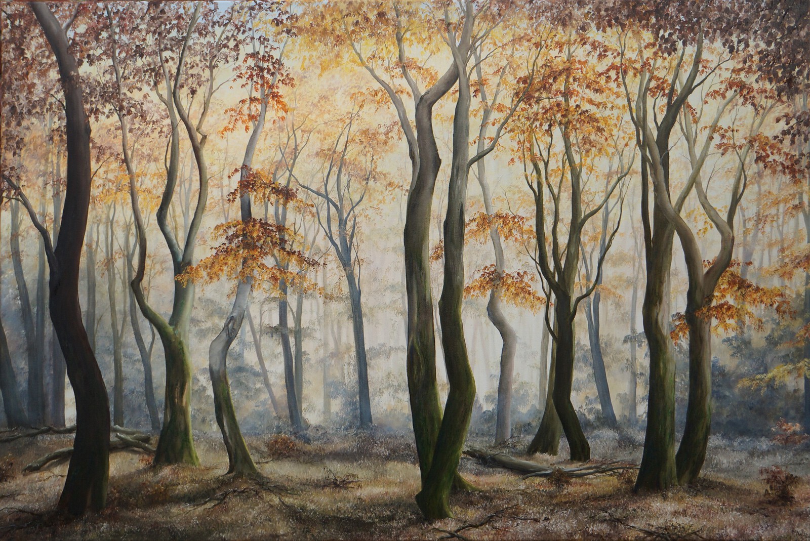 Dansende bomen, Speulderbos