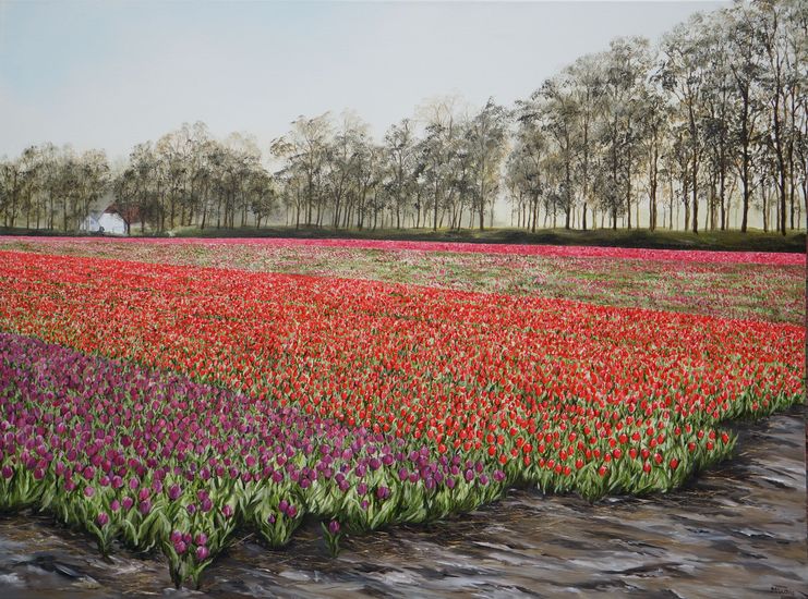 Tulpenvelden 3